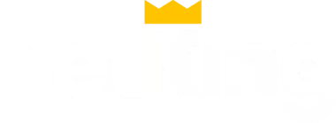 BetKing App Logo